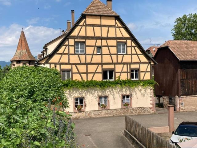 Joli Gite 2 Personnes En Alsace Guémar المظهر الخارجي الصورة