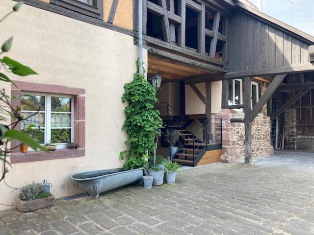 Joli Gite 2 Personnes En Alsace Guémar المظهر الخارجي الصورة